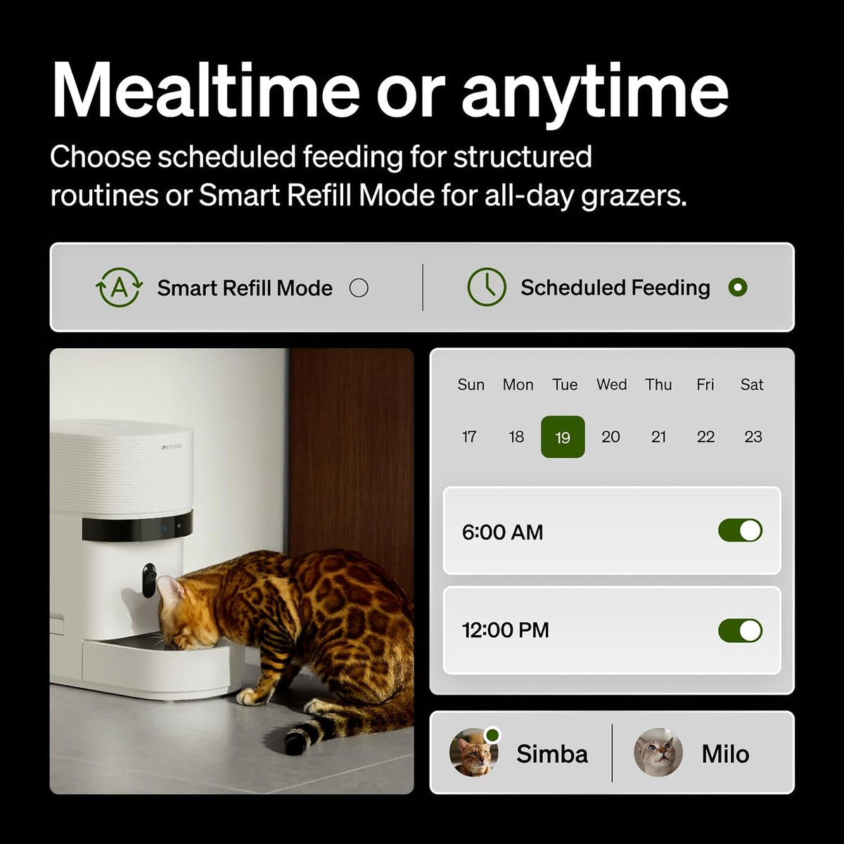 Automatic Cat Feeder with Camera, Scale AI Smart Food Intake Track