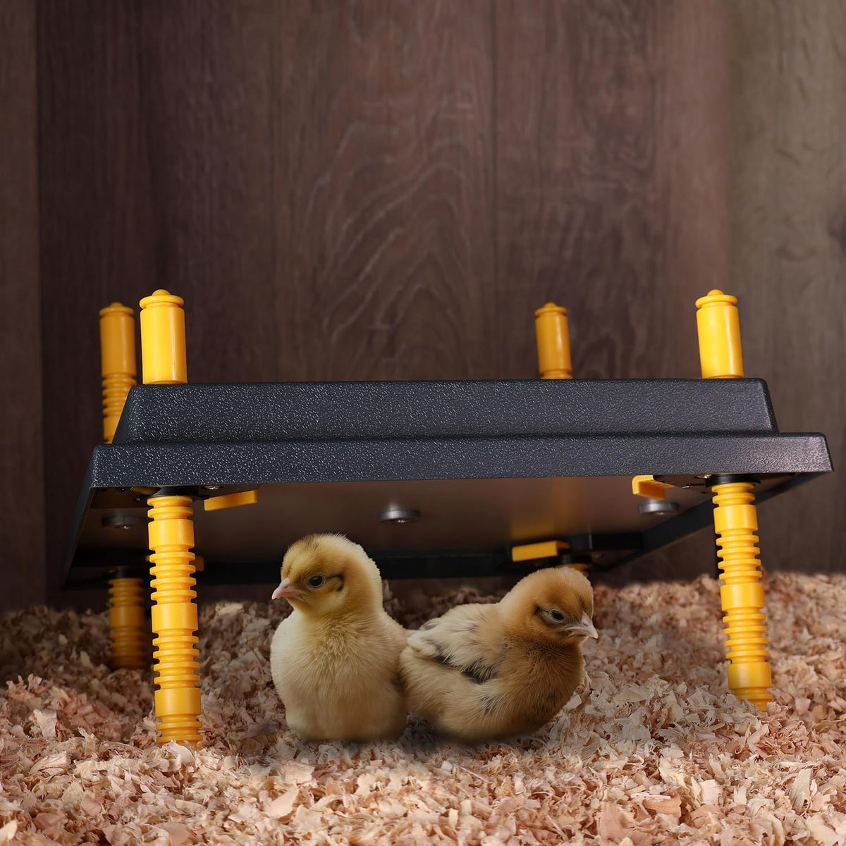 Premier 1 Chick Brooder Heating Plate – 12"x12", Warms Up to 20 Chicks