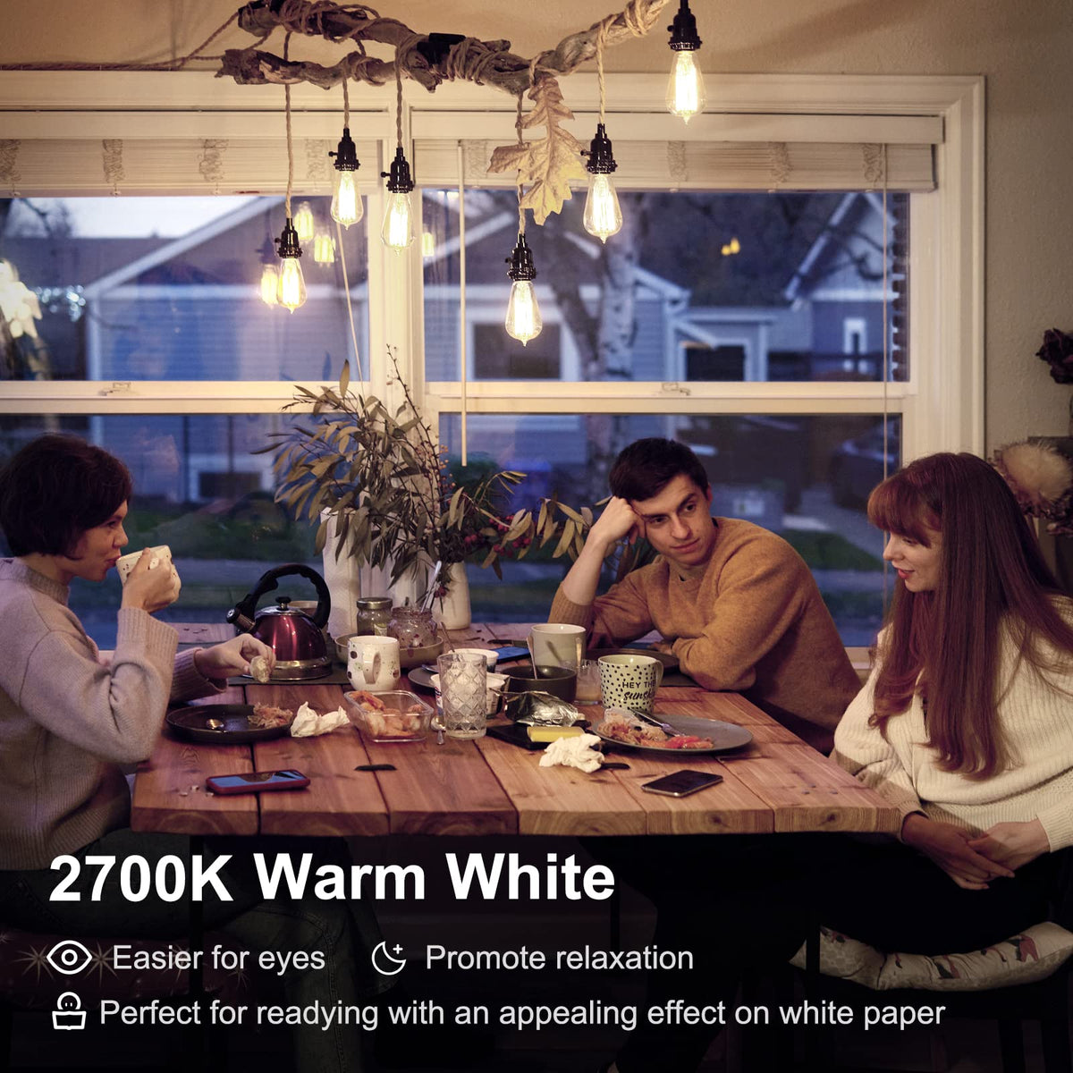 12 Pack Edison LED Light Bulbs, E26 Base, 8W 2700K, Dimmable