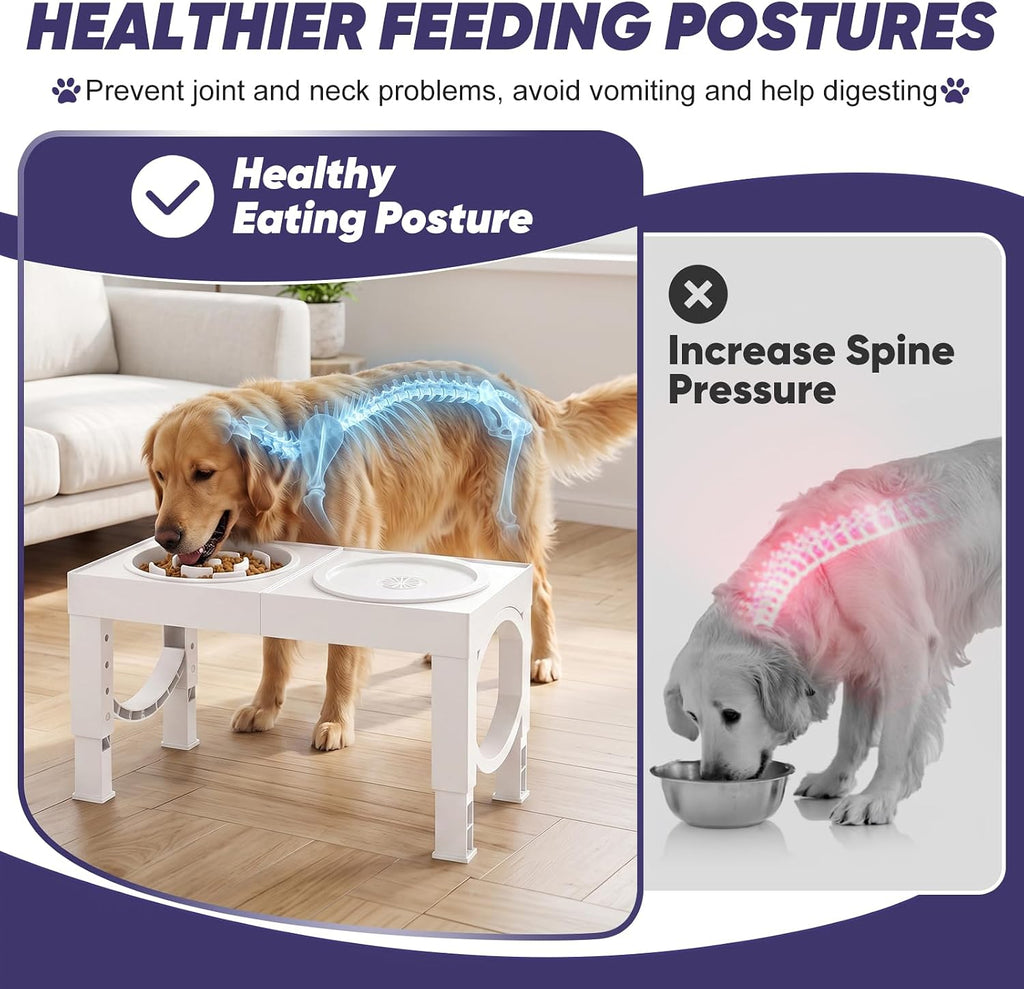 Elevated Dog Bowls Large Breed Raised Dogs Bowl Stand Large/Medium Sized Dog Slow Feeder Dogs Bowls Food Water Stands
