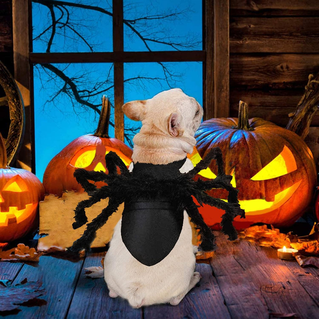 Halloween Spider Costume for Dog Cat, Halloween Pet Costume Halloween Decorations, Spider Decor Halloween Party