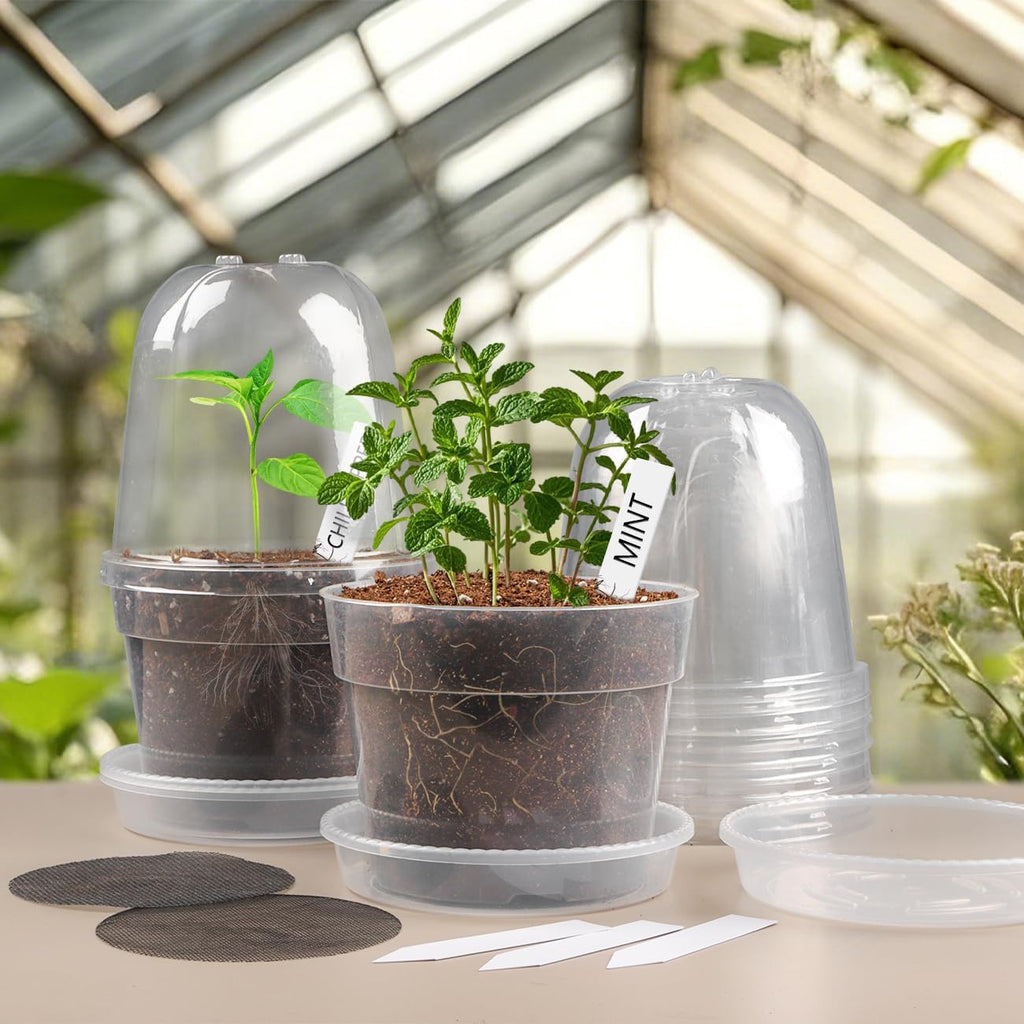 6 Inch Clear Nursery Pots with Humidity Domes 15 Pack, Transparent Plastic Plant Pot with Drainage Holes and Saucers