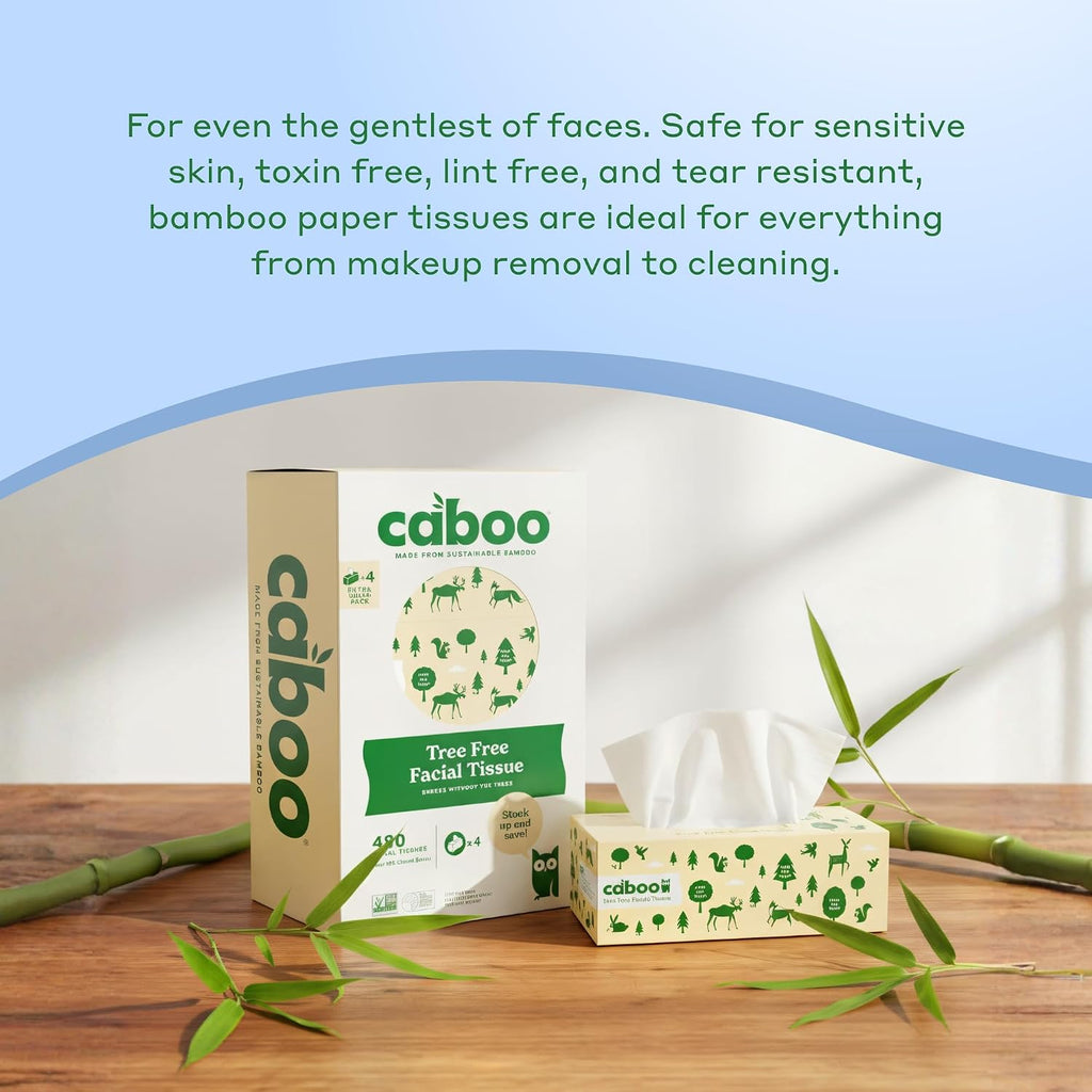 Tree Free Facial Tissues, 120 Tissues Per Box, 480 Total