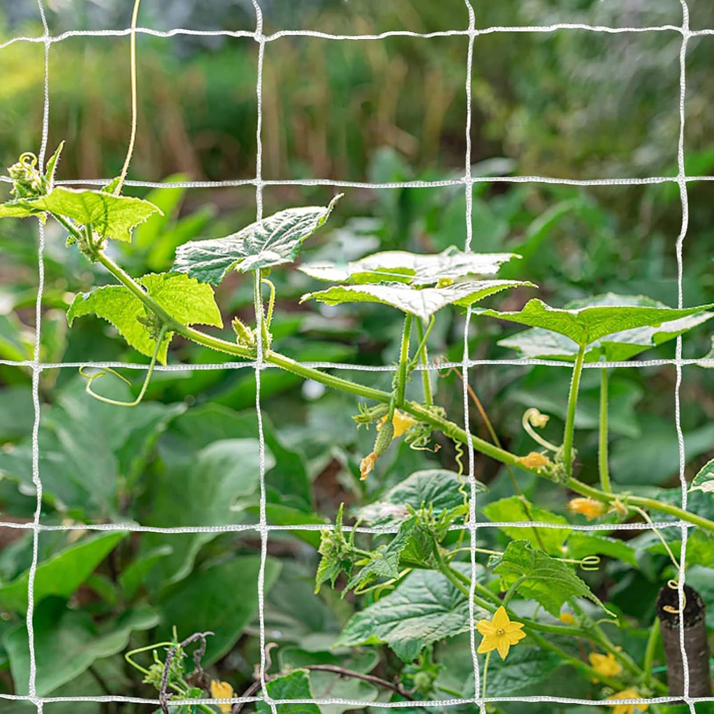 Heavy-Duty Polyester Plant Trellis Netting 5 x 30ft (1 Pack)