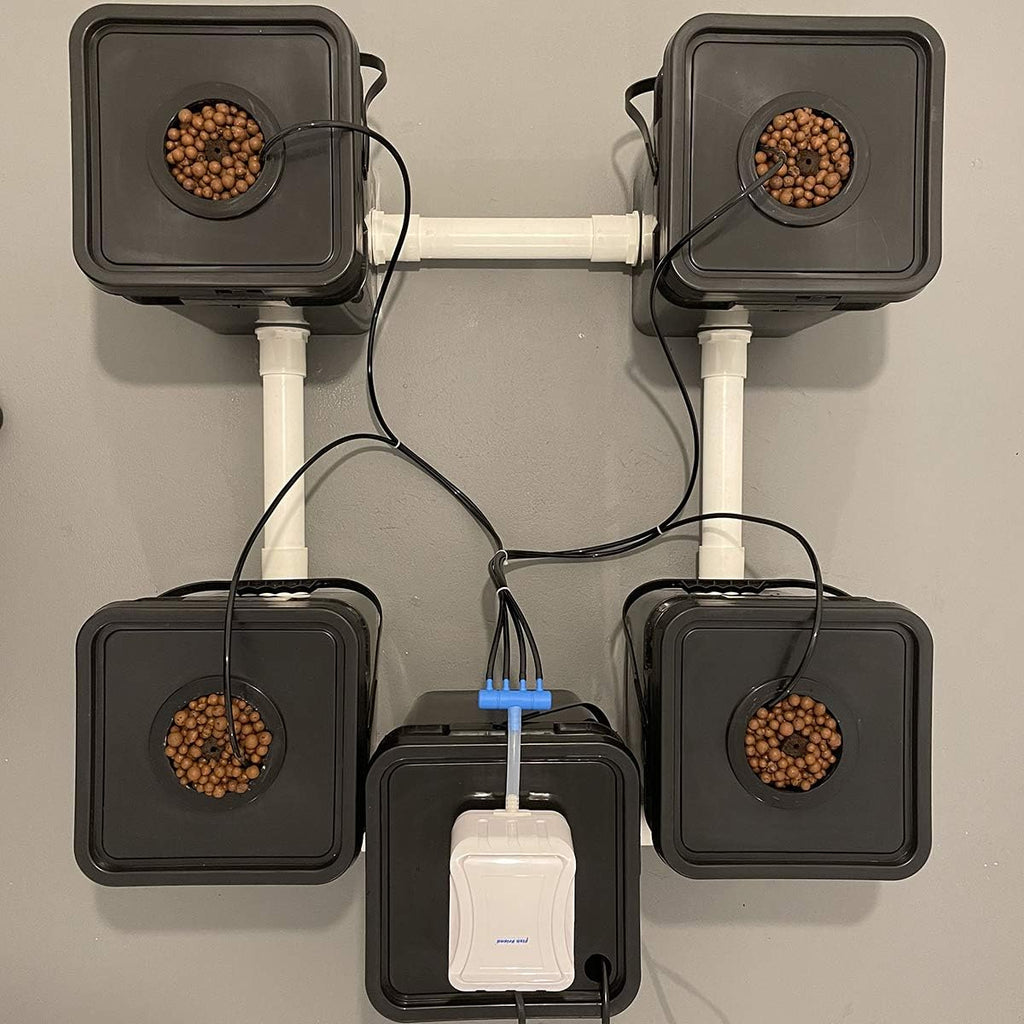 Recirculating Deep Water Culture RDWC Hydroponic Grow Kit System, 5 Gallon, 4 Site with Connected Reservoir