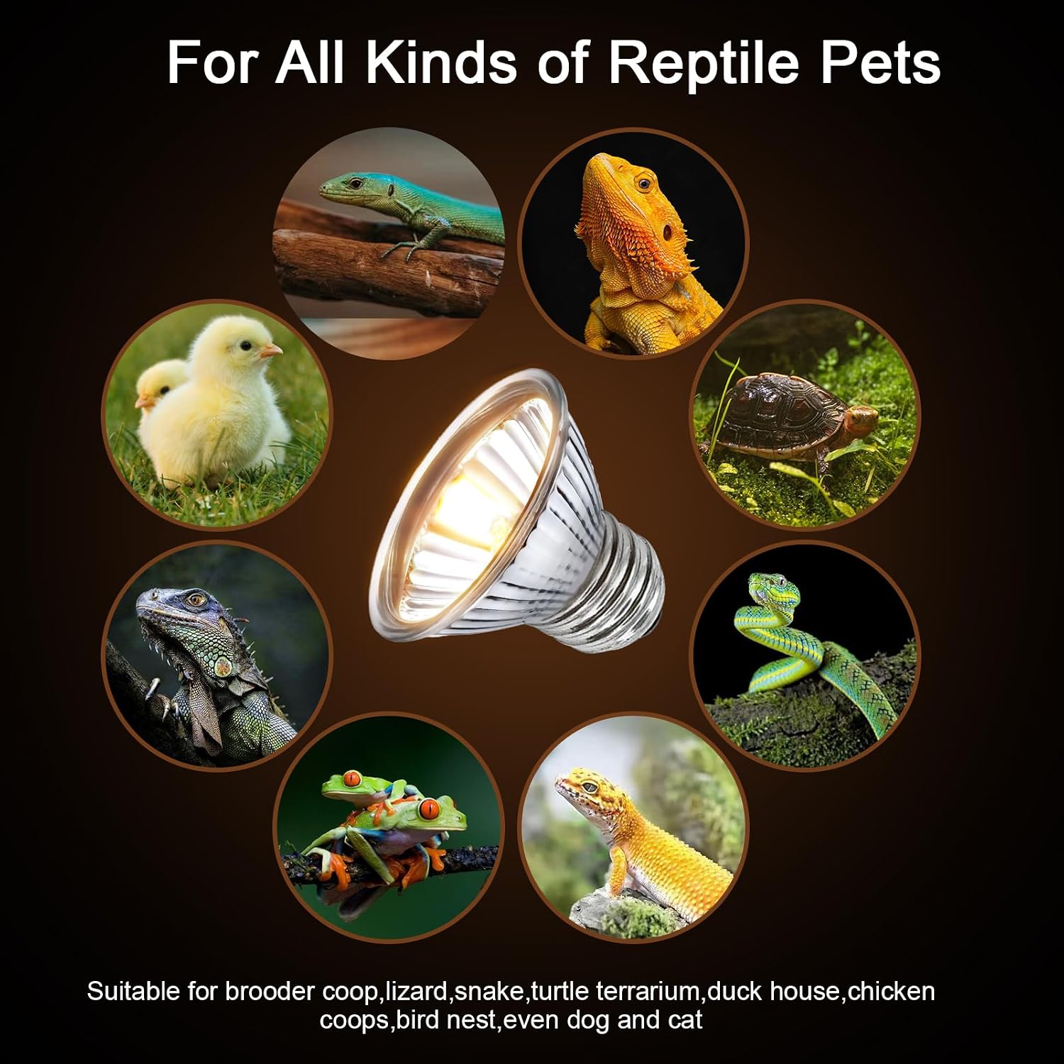 Turtle Reptile Heat Lamp Bulb 50W 120V,4Pcs Heat Bulb | UVA Reptile Light for Turtle Tank,Fits Reptiles and Amphibian