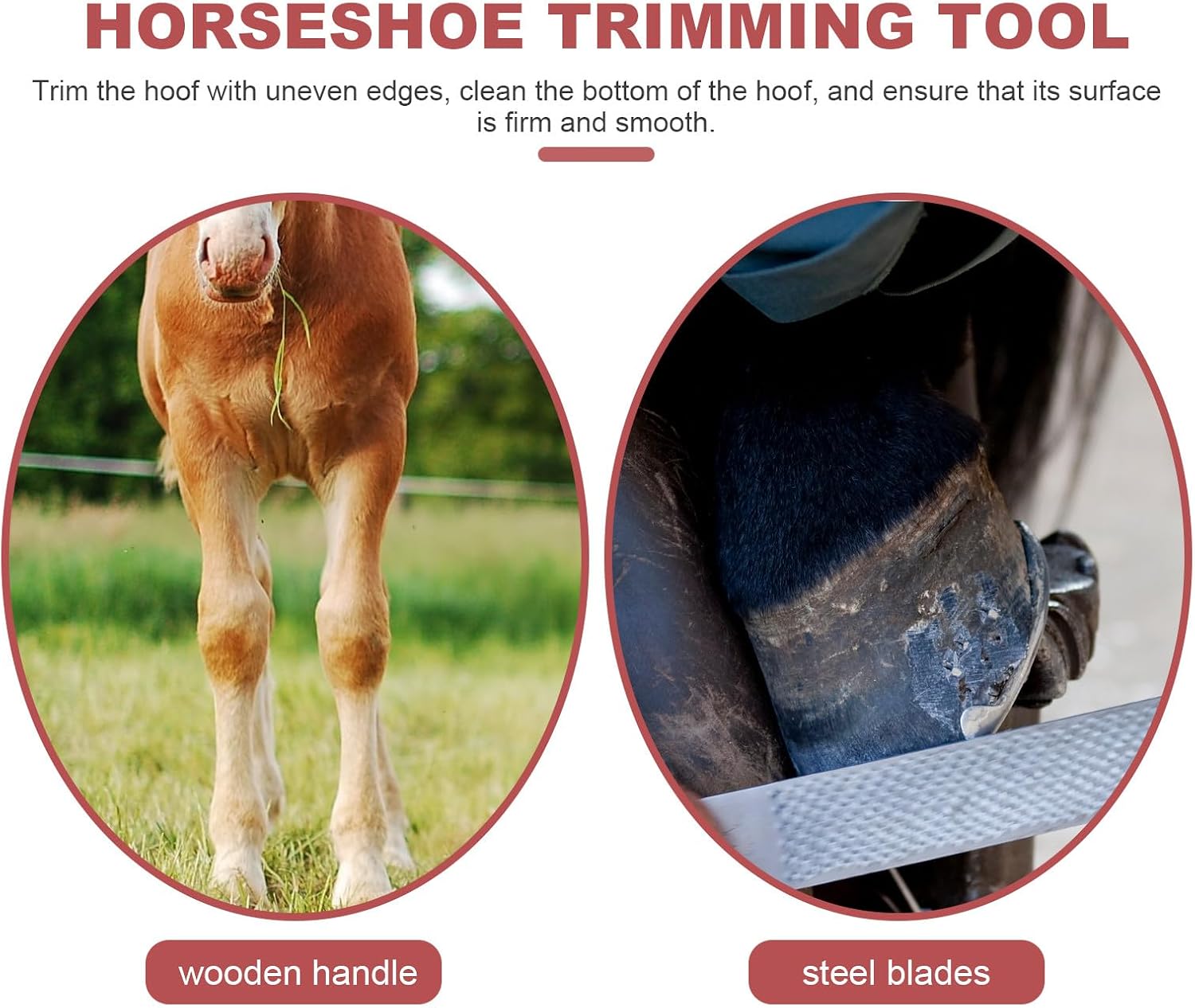 Manganese Steel Hoof Trimmer and Wear-Resistant Reusable Hoof Cutter Compact Farrier Tool for Daily Use in Horse Care