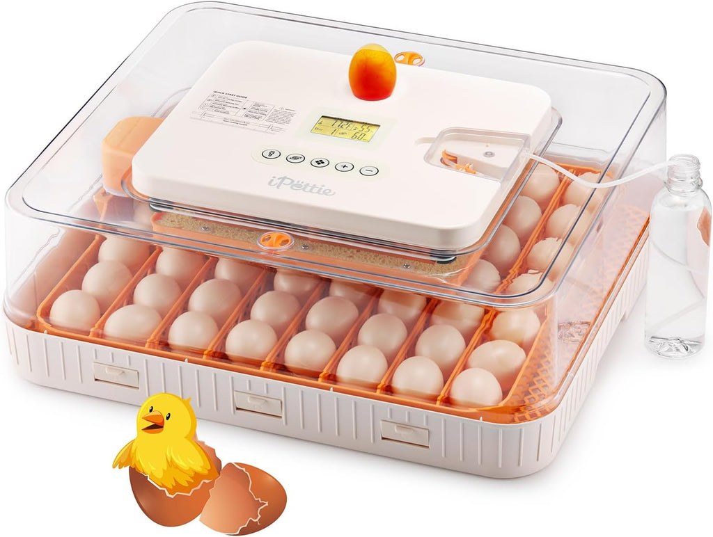 Egg Incubator for Hatching Eggs with Automatic Egg Turning