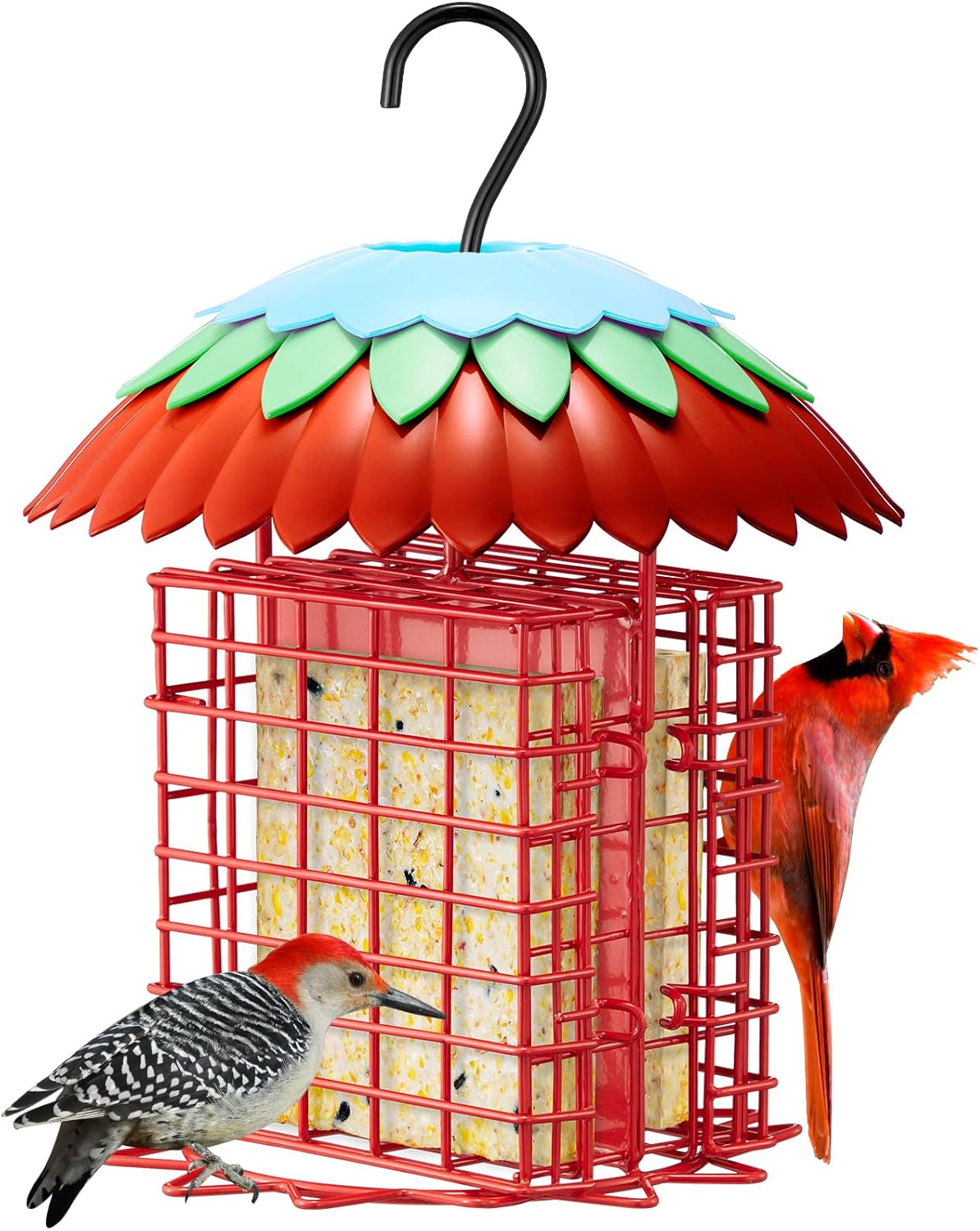 Suet Feeder Double with Weather Guard & Ant Moat, 2 Holders Red