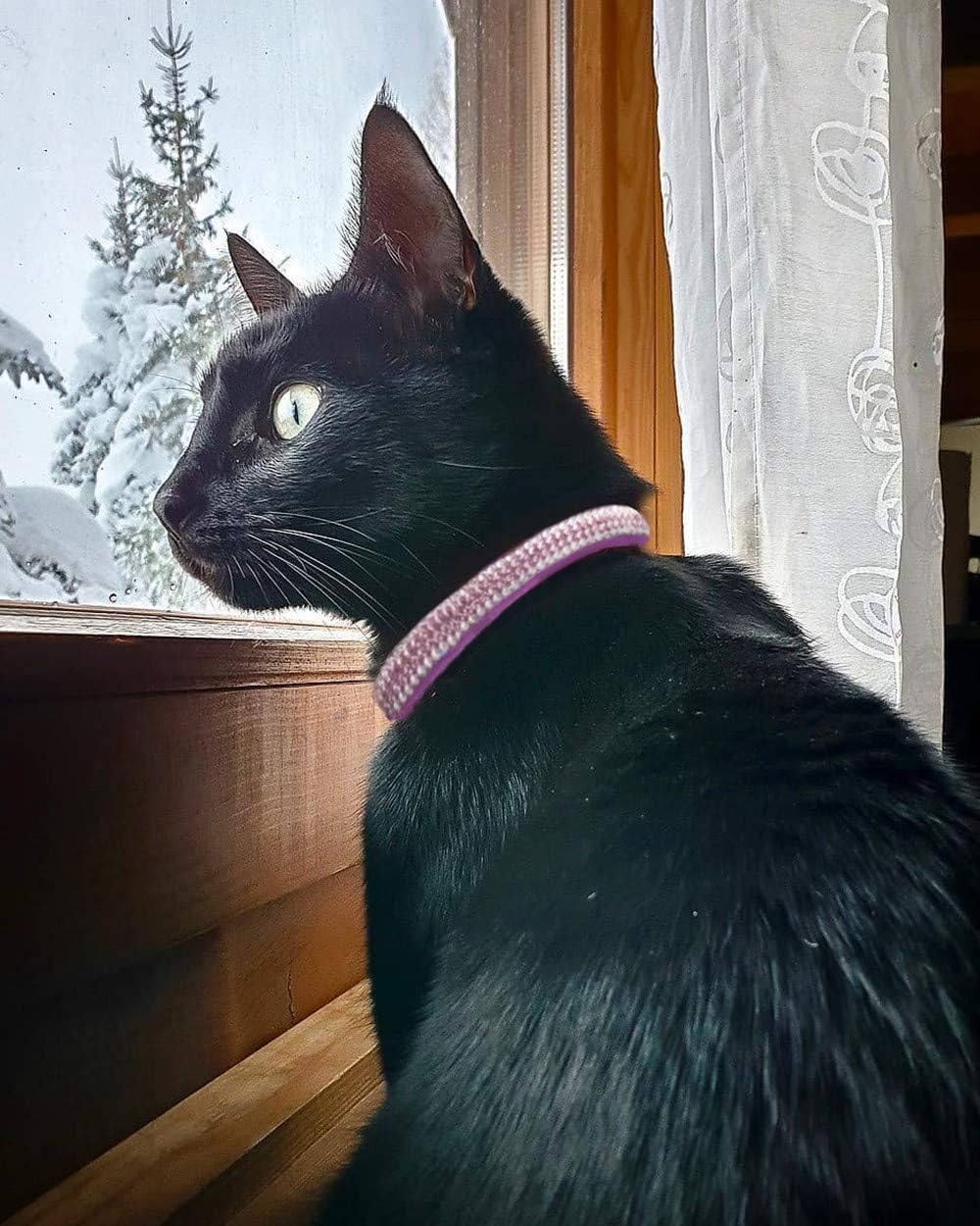 Rhinestone Cat Breakaway Collar Pack of 2 Purple Kitten Collars with Bell