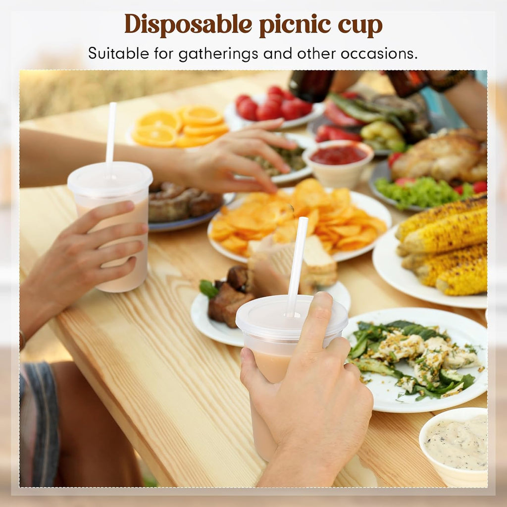 30 Pcs Clear Reusable Cups with Straws and Lids, Plastic Frosted Round Bottom Ice Coffee Cups Travel Mug Tumbler for