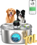 Stainless Steel Dog & Cat Water Fountain for Large Dogs and Cats