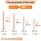 Nail Assortment Kit, 600 Pcs, 4 Sizes, Rose Gold Picture Hangers