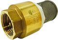 PROLINE 101-325NL Low Lead Foot Valve, 1", Brass