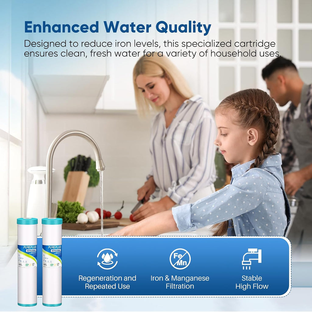 20"x4.5" Whole House Iron & Manganese Reduce Water Filter, 1 Pack
