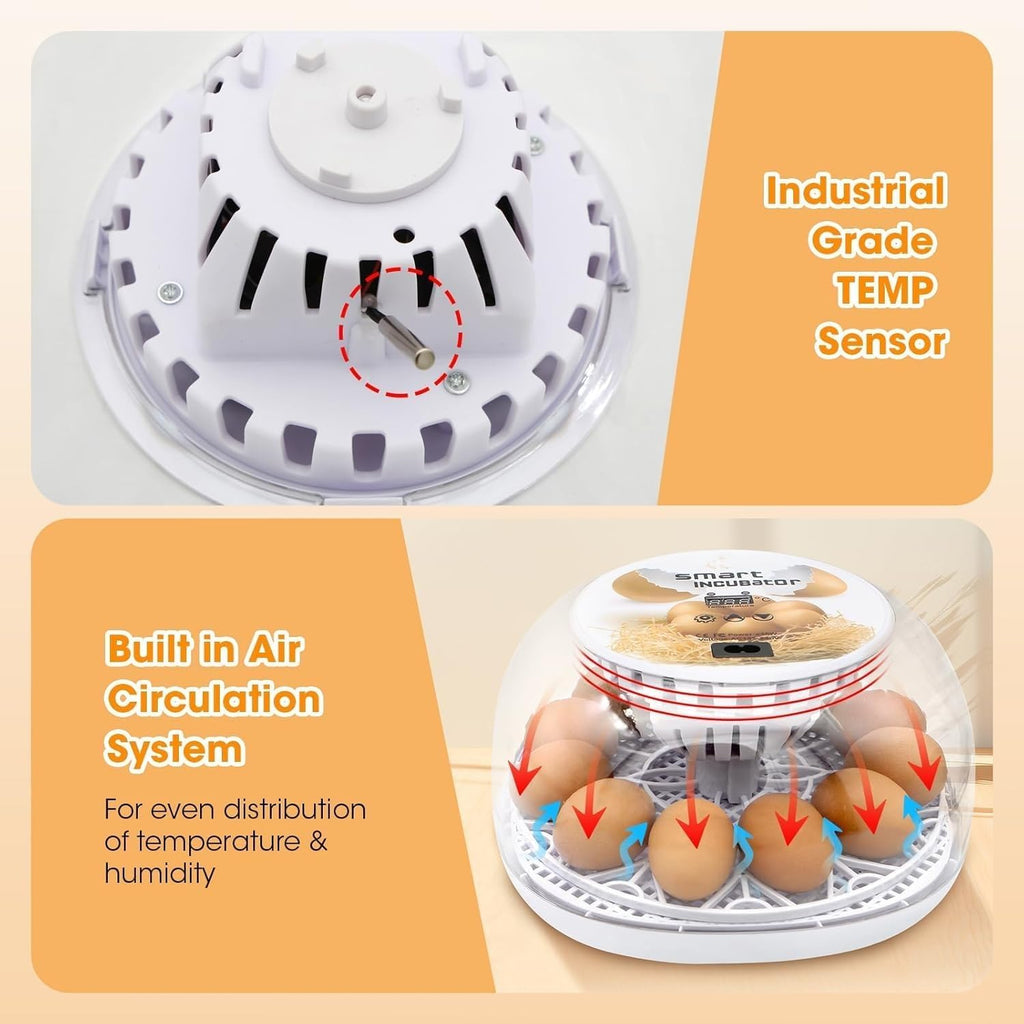 Incubators for Hatching Eggs, Chicken Waterer Cups, Automatic Egg Turner Holds 12 Eggs, Smart Incubator 360° Clear