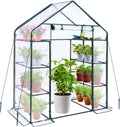 Small Greenhouse for Outdoors: 4 Tiers 6 Shelves Walk-in Indoor Green House Heavy Duty Plant Stands Reinforced