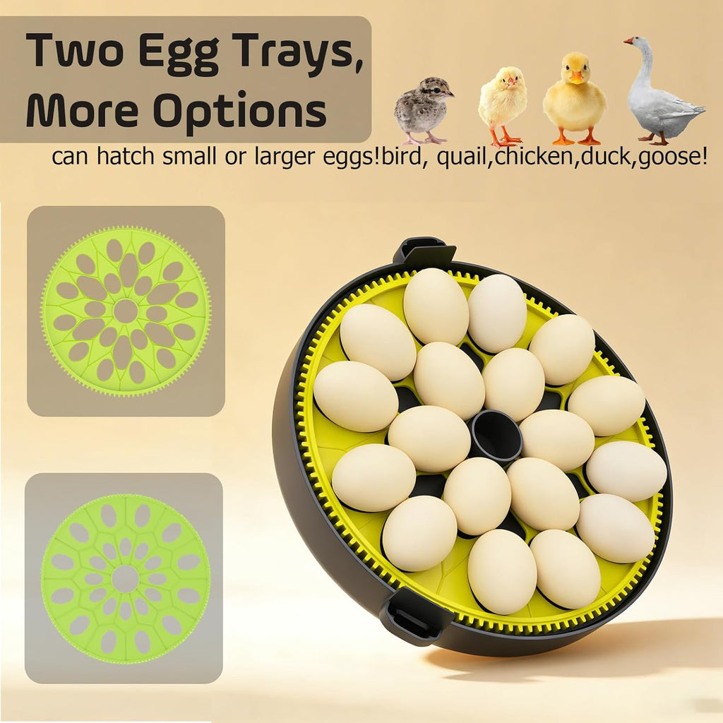 Egg Incubator with Auto Egg Turner and Lock 3Days Before Hatch,Temperature and Humidity Automatic Control with Day