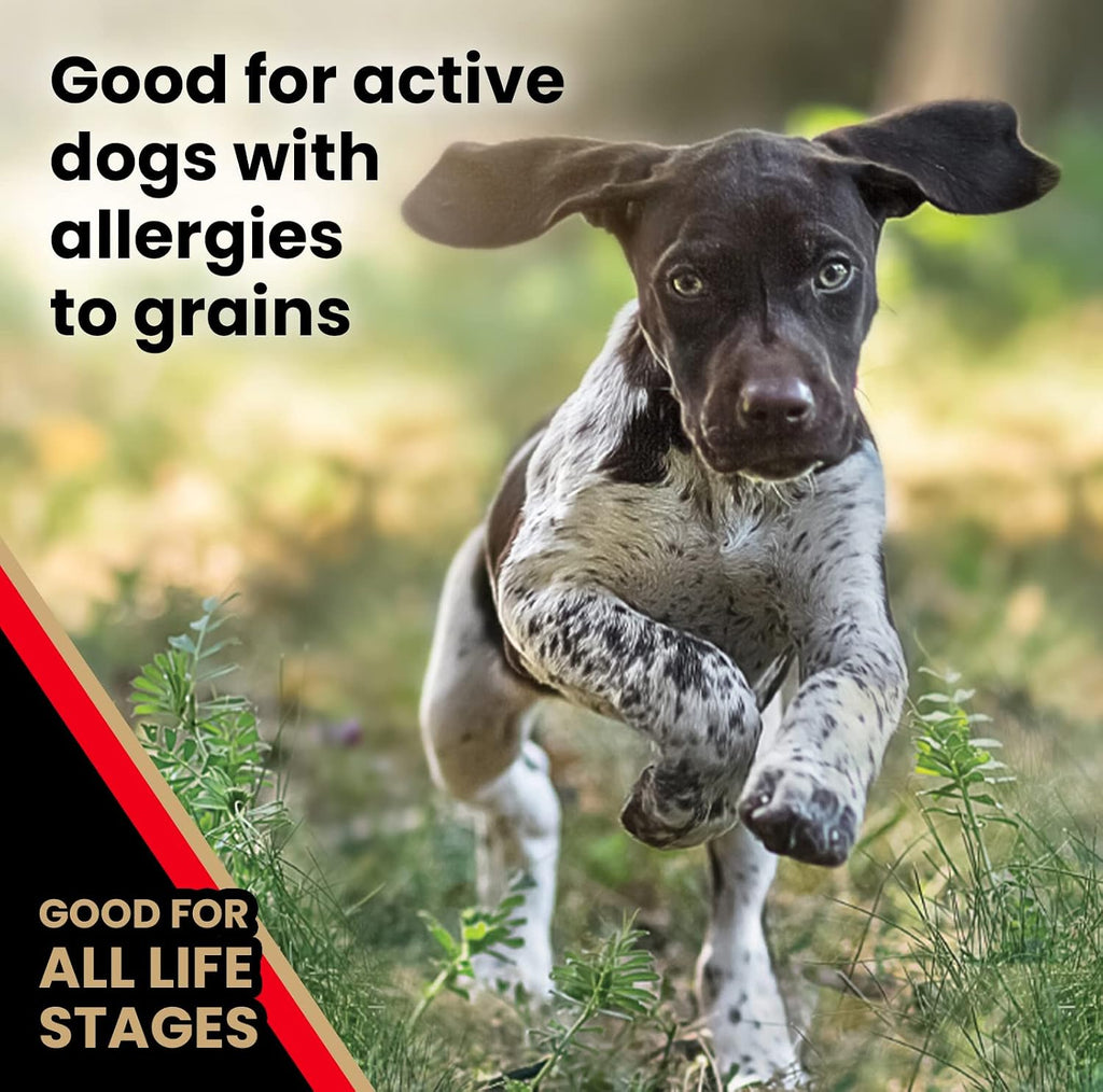 Grain Free Dry Dog Food - High Protein Active Dog Kibble, 5 lb