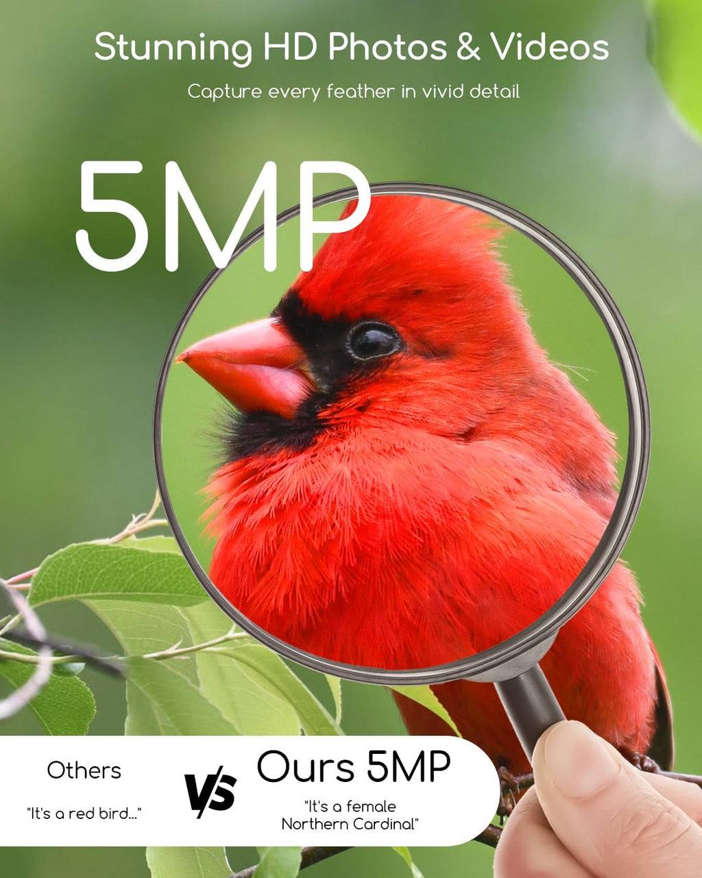 5MP Smart Bird Feeder with Camera, 30% Faster Solar Charging