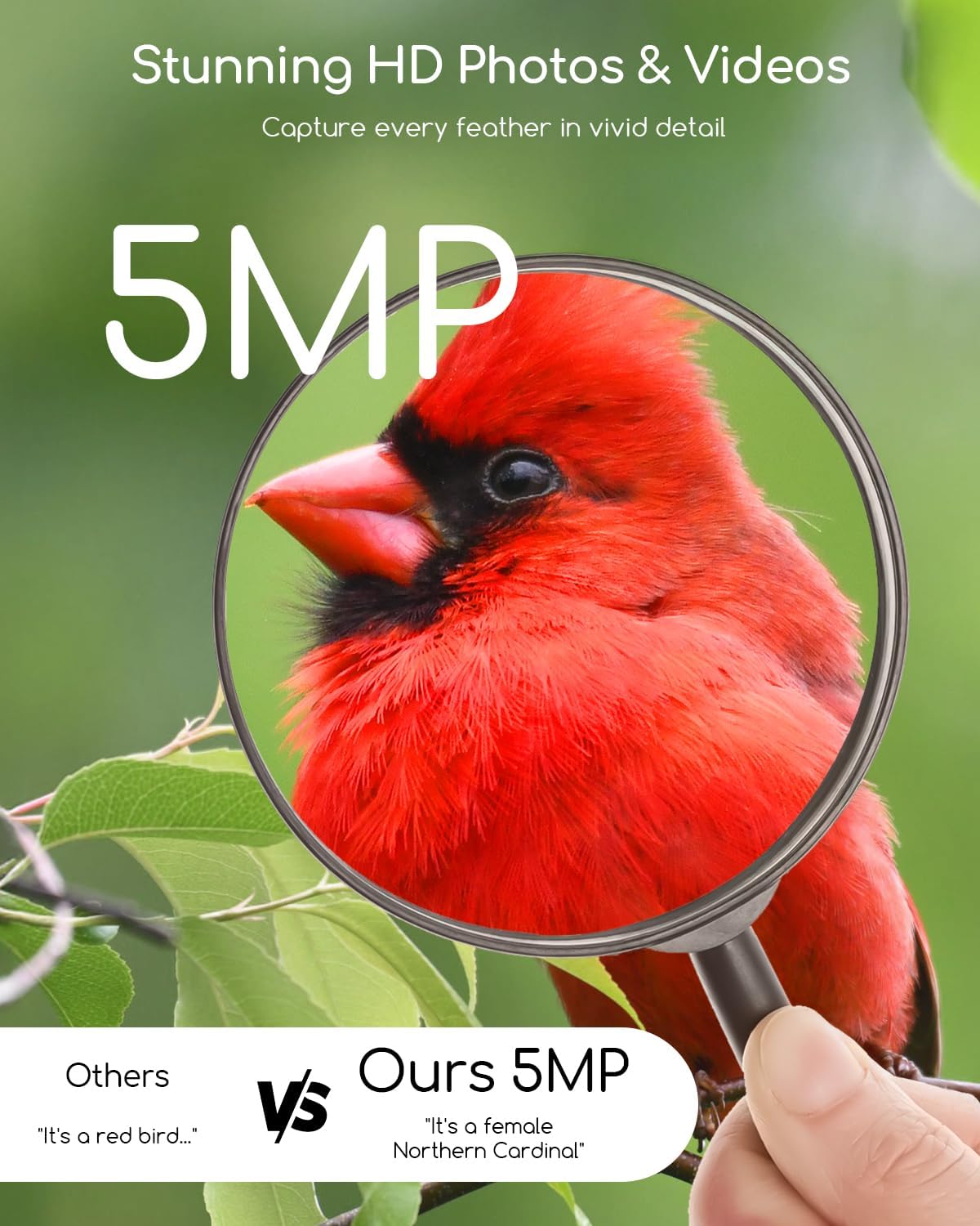 5MP Smart Bird Feeder with Camera, 30% Faster Solar Charging