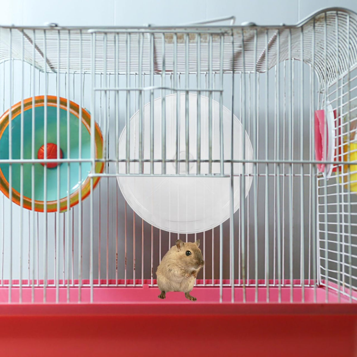 Silent Hamster Running Wheel Large 12-Inch Exercise Wheel for Hamsters Chinchillas Gerbils Sturdy Crystal Design Dual