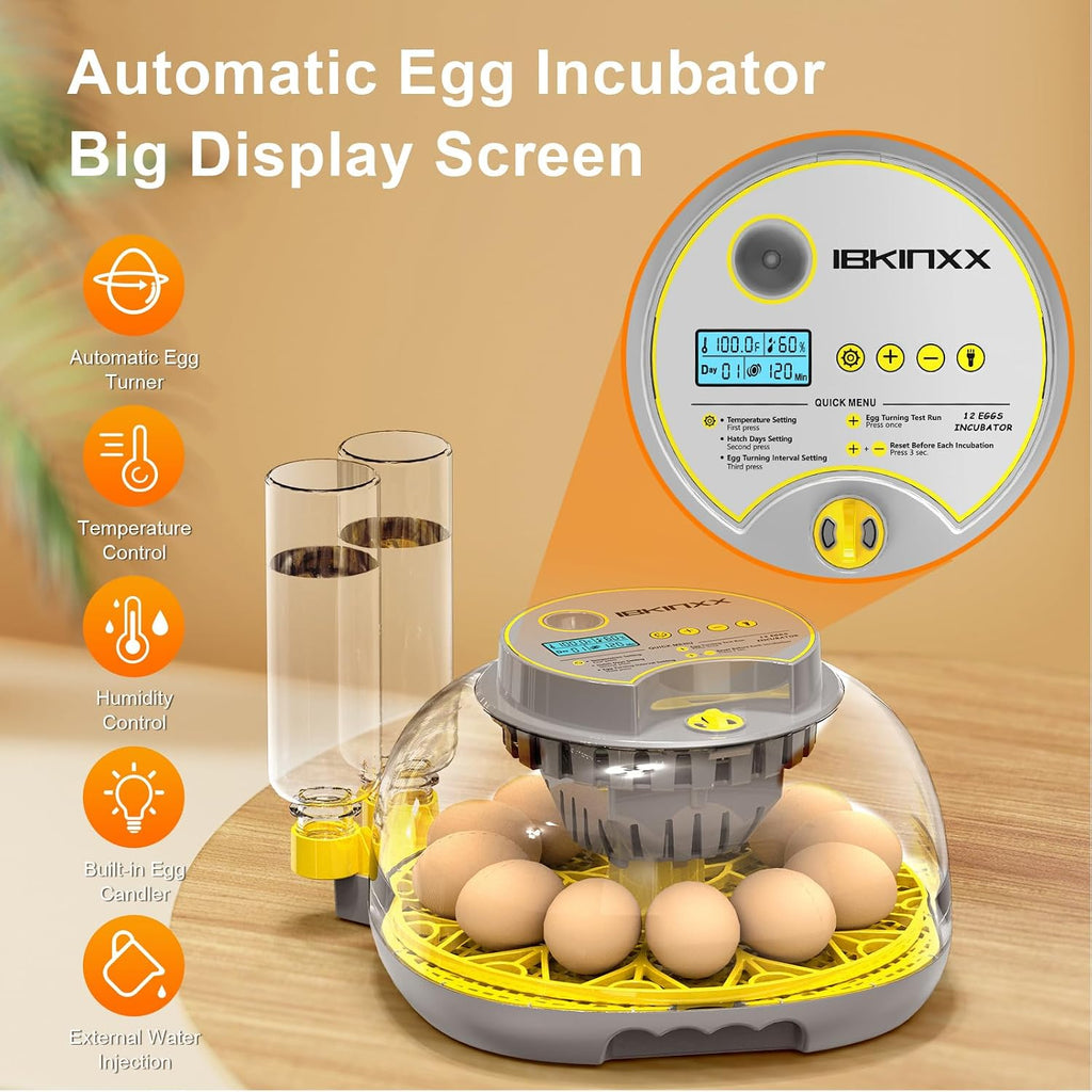 Incubator for Hatching Eggs - 12 Egg Capacity, 360° Viewing for Chicken