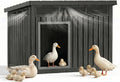 Large Chicken Coop with Hydraulic Air Rod, Resin Duck Coop with Elevated Floor and Air Vents, Backyard Poultry Pet