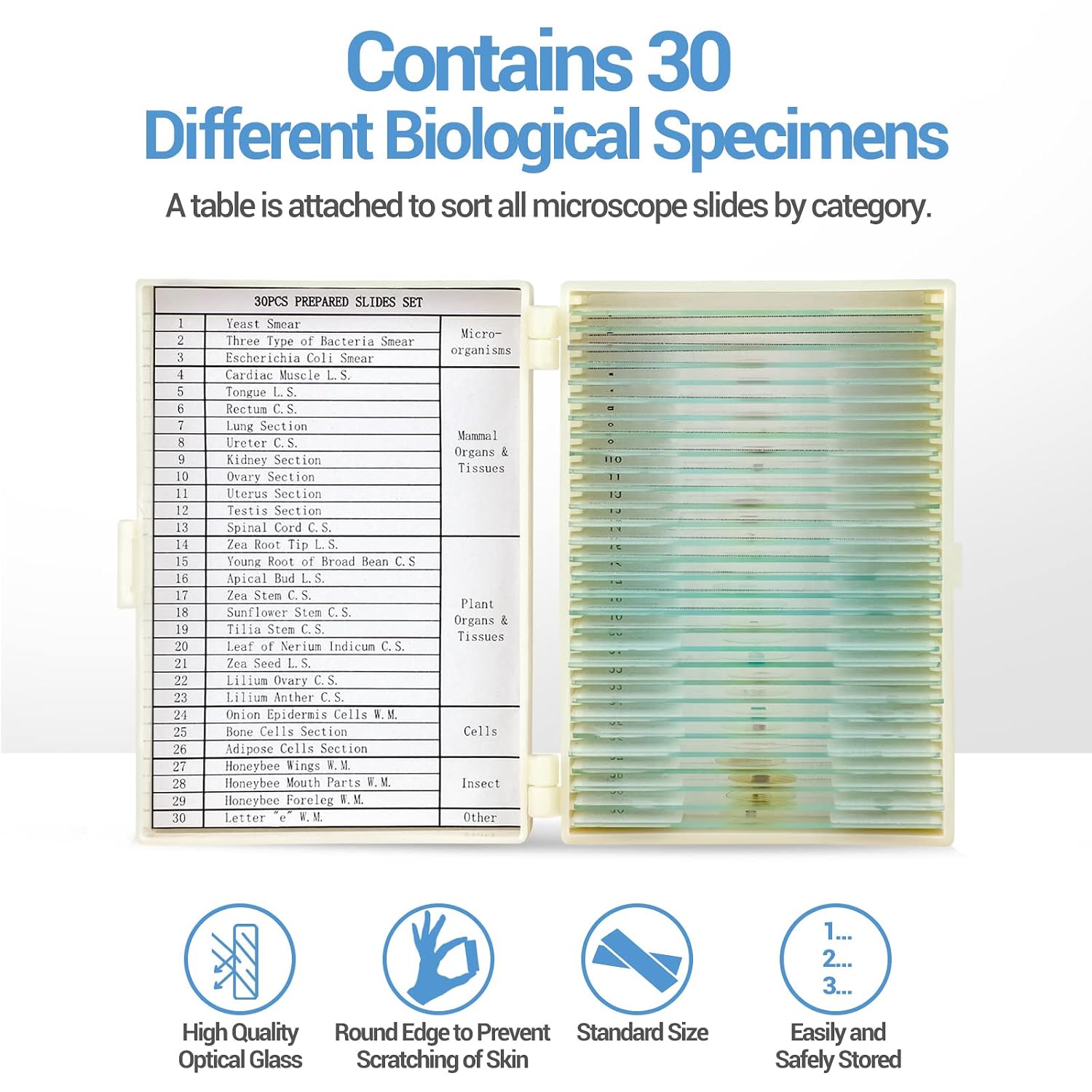 30 Microscope Slides with Specimens for Kids, Prepared Microscope Slides for Kids Microbiology, Glass Slides for