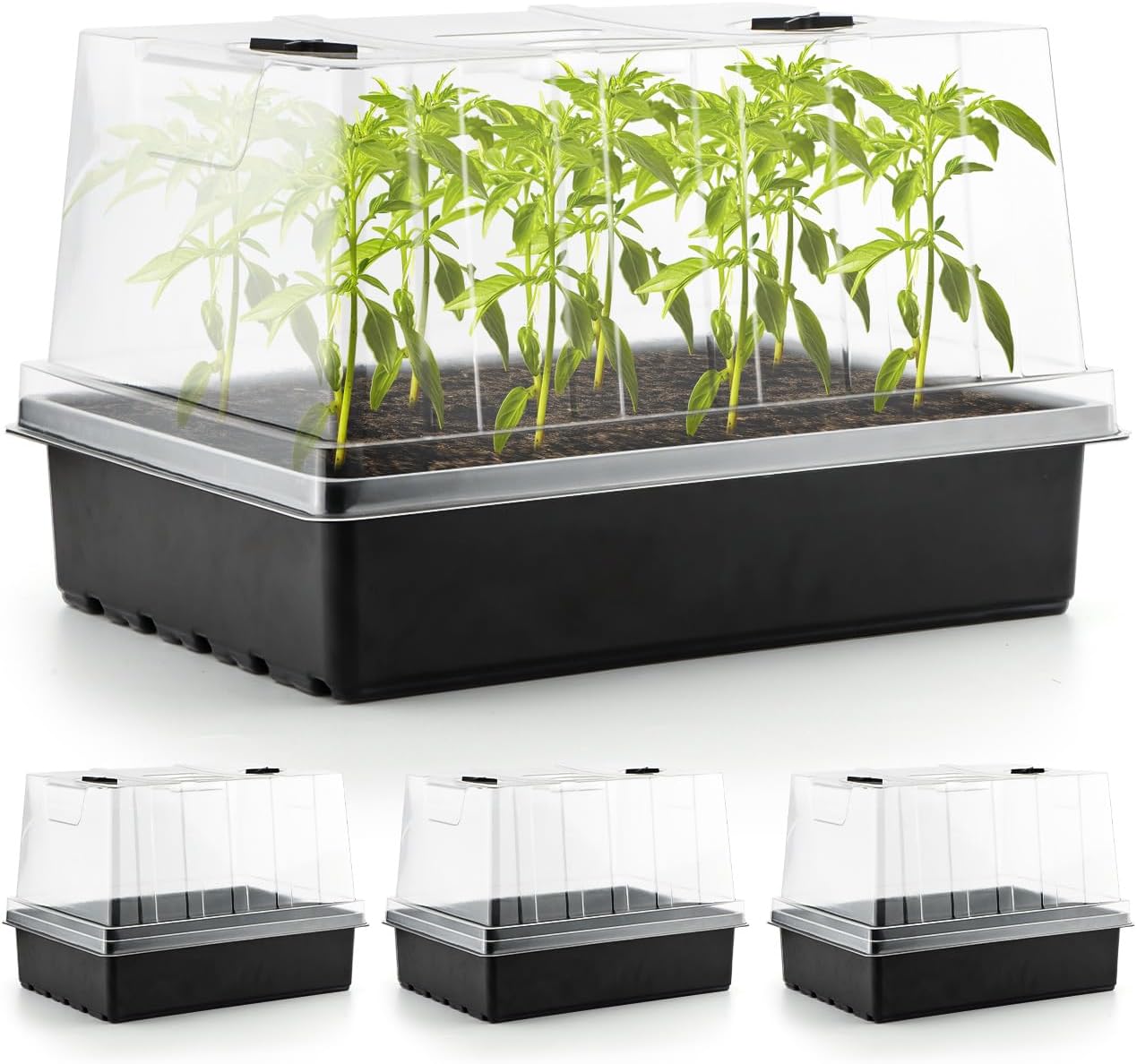 4-Pack Seed Starter Trays with 5" Tall Humidity Domes | Reusable Seed Germination Kit for Cuttings, Vegetables