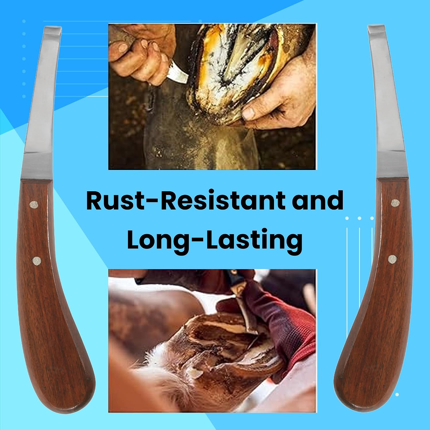 Hoof Knife with Comfortable Wooden Handle - Ergonomic Grip for Horse Farriers and Horse Hoof and Horseshoe Trimming
