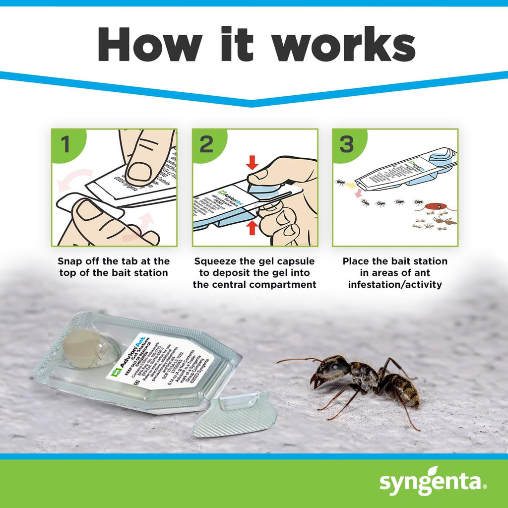 Syngenta Advion Ant Gel Station Insecticide, Ready-to-Use Gel Bait with The Active Ingredient Indoxacarb, Ant Bait