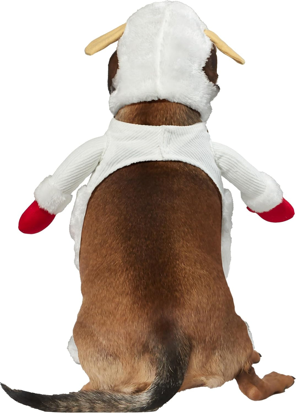 Lamb Chop: Pet Costume for For Dogs or Cats by Rubies, Medium