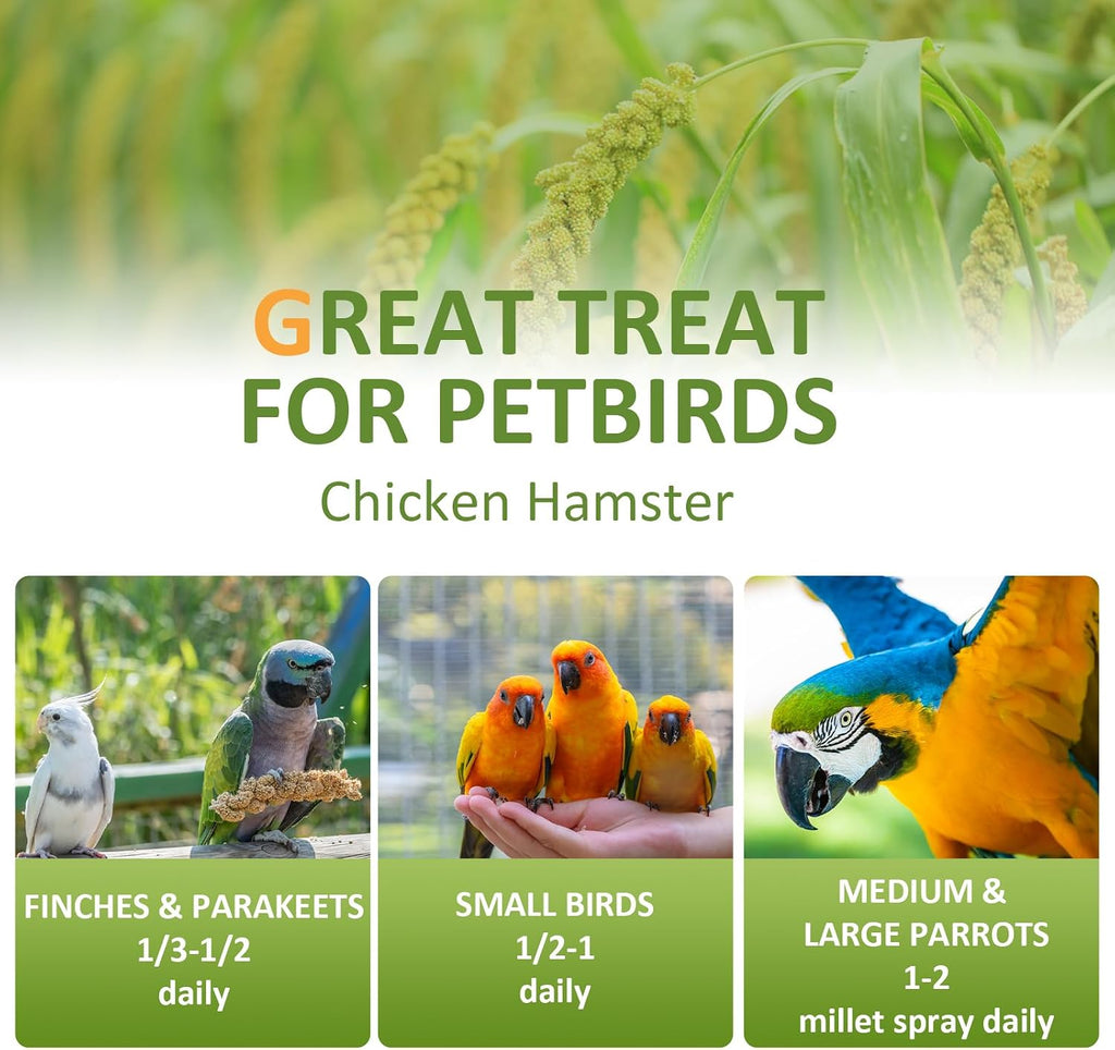 Spray Millet for Birds 5LB - All Natural Sun-Dried Healthy Treat, Millet Spray for Parakeets, Parrots, Lovebirds