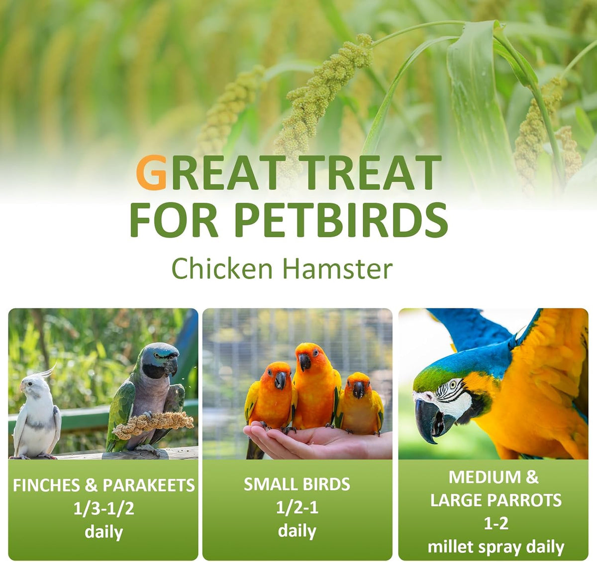 Spray Millet for Birds 5LB - All Natural Sun-Dried Healthy Treat, Millet Spray for Parakeets, Parrots, Lovebirds