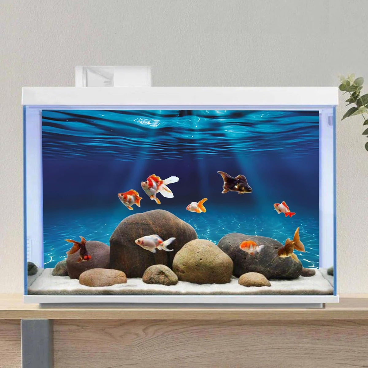48x24 in Undersea Aquarium Backdrop Underwater Fish Tank Background