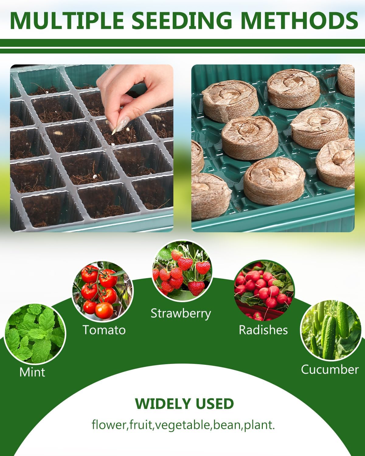 40 Cell Seed Starter Kit with Grow Light and Graphene Heating Mat, Reusable Seed Starter Tray with Higher