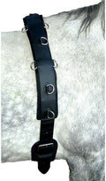Professional Neoprene Training Surcingle for Horses and Ponies - Quality, Durability, and Comfort for Ground Driving