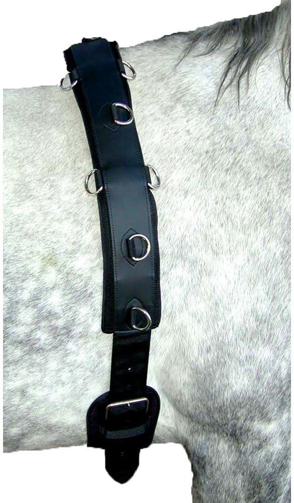 Professional Neoprene Training Surcingle for Horses and Ponies - Quality, Durability, and Comfort for Ground Driving