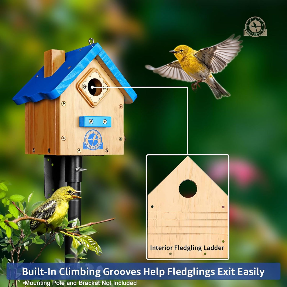 Birdhouses for Outdoors, Blue Hanging Wren House, Warming Gifts