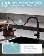 Black and Gold Kitchen Faucet with Pull Down Sprayer