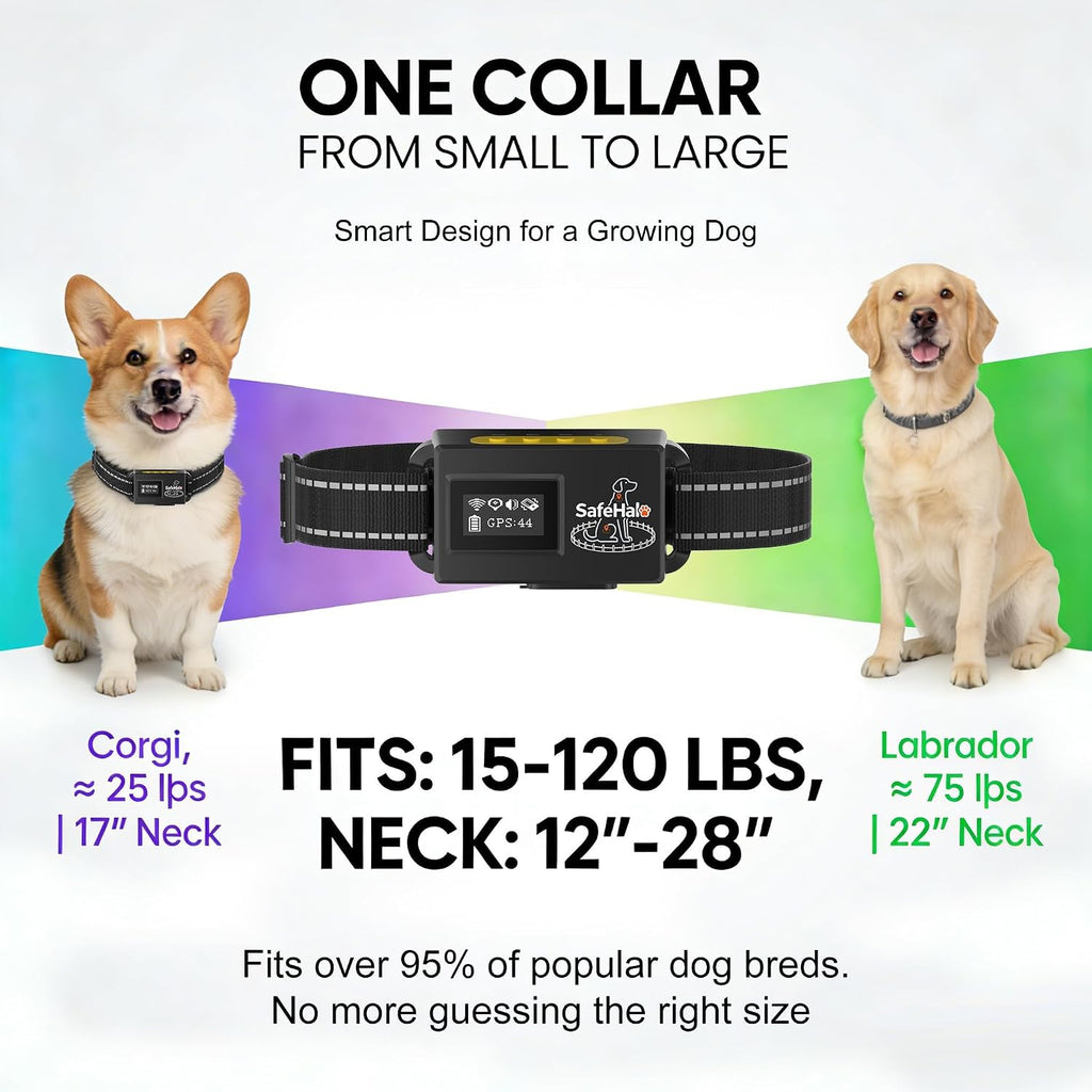 GPS Wireless Dog Fence System –No Subscription Electric Anti Escape Collar,Circular 65-9,840 ft & Irregular Fence.