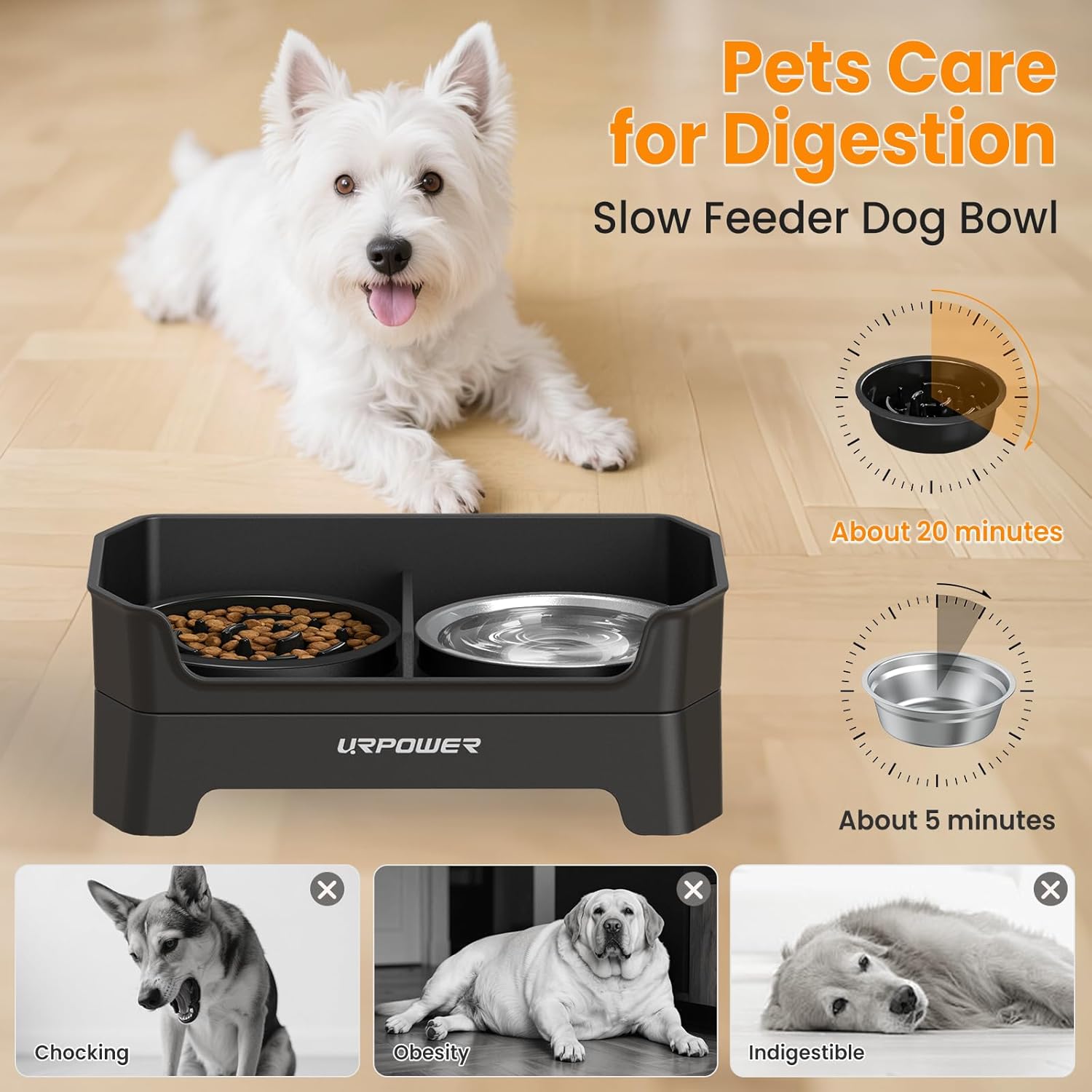 3-in-1 Elevated Dog Bowls - Mess Proof Double Deck 4 Height Adjustable Raised Stand with Stainless Steel Bowl & Slow