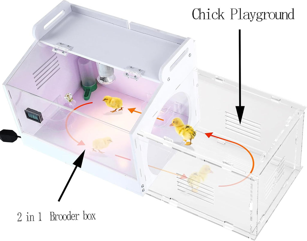 Iarge Scale Chick brooder Box Quail cage Egg Incubator Chicken brooder 20