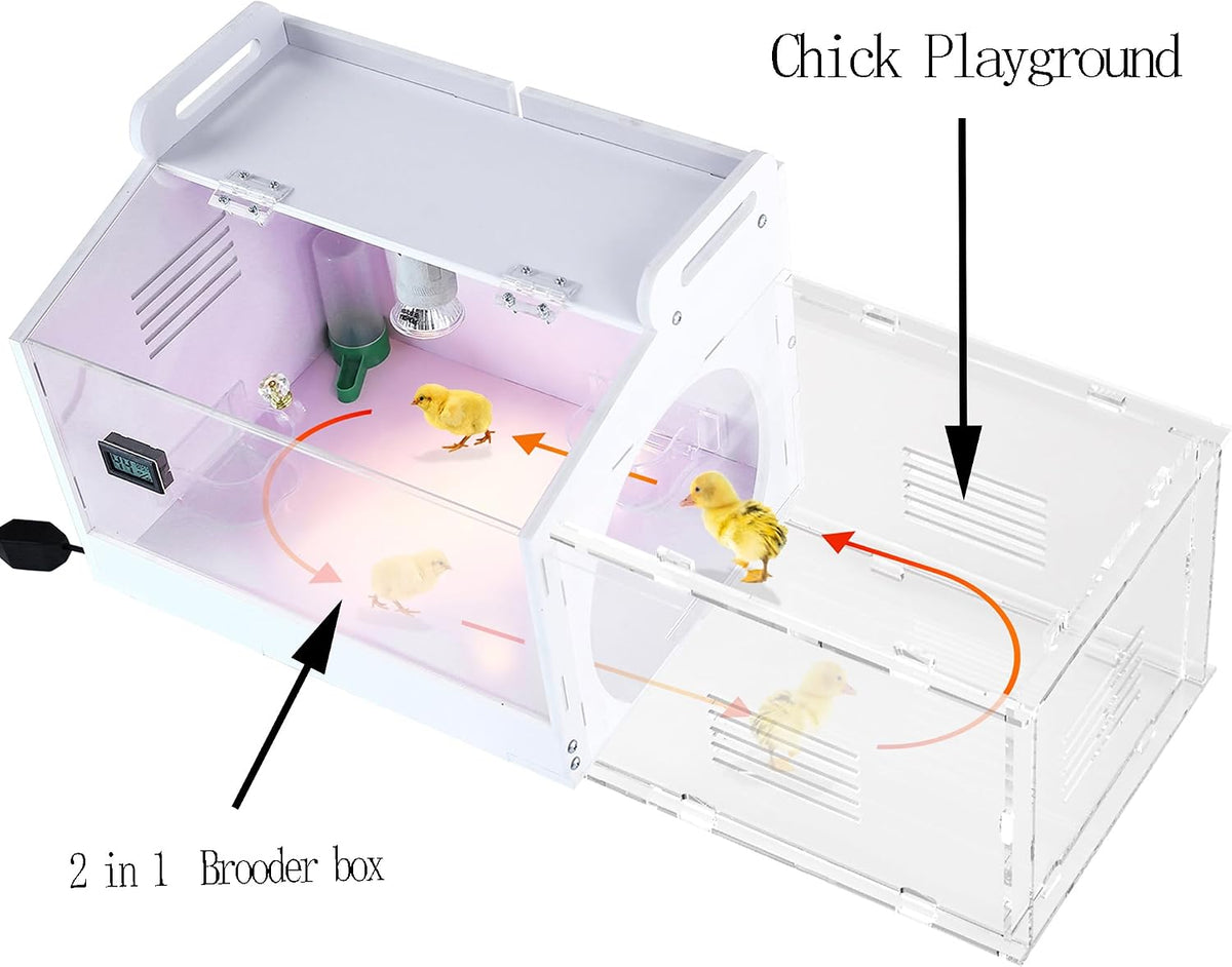 Iarge Scale Chick brooder Box Quail cage Egg Incubator Chicken brooder 20