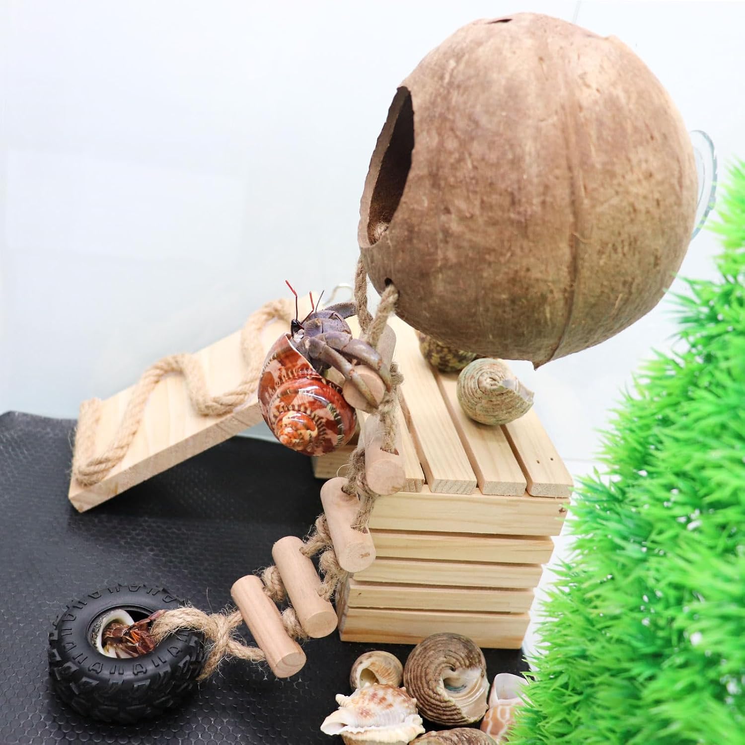 Hermit Crab Climbing Toy, Natural Coconut Reptile Hideout with Ladder, Hanging Coconut Reptile House, Cage or Tank