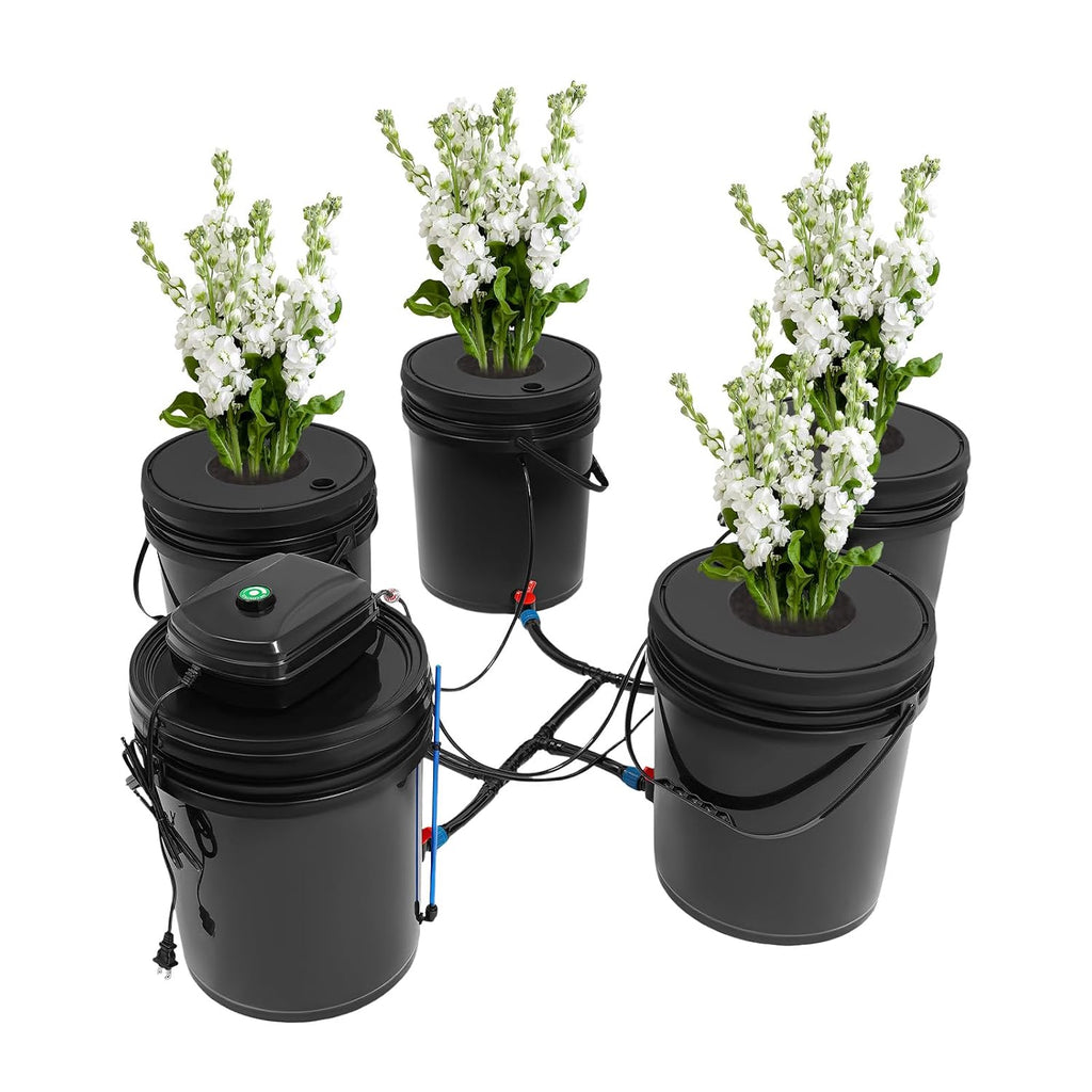 DWC Hydroponic System 5 Gal 5 Buckets - Recirculating Deep Water Culture Kit with12W Air Pump, 4×4L/min Air Stone, 6m