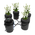 DWC Hydroponic System 5 Gal 5 Buckets - Recirculating Deep Water Culture Kit with12W Air Pump, 4×4L/min Air Stone, 6m