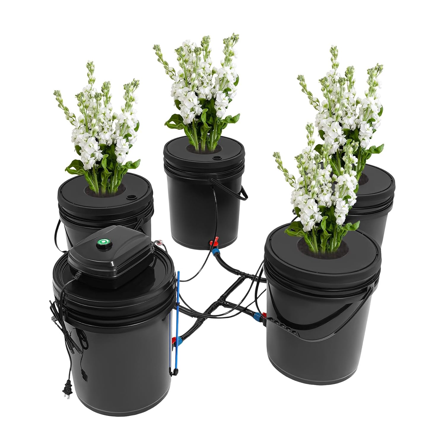 DWC Hydroponic System 5 Gal 5 Buckets - Recirculating Deep Water Culture Kit with12W Air Pump, 4×4L/min Air Stone, 6m