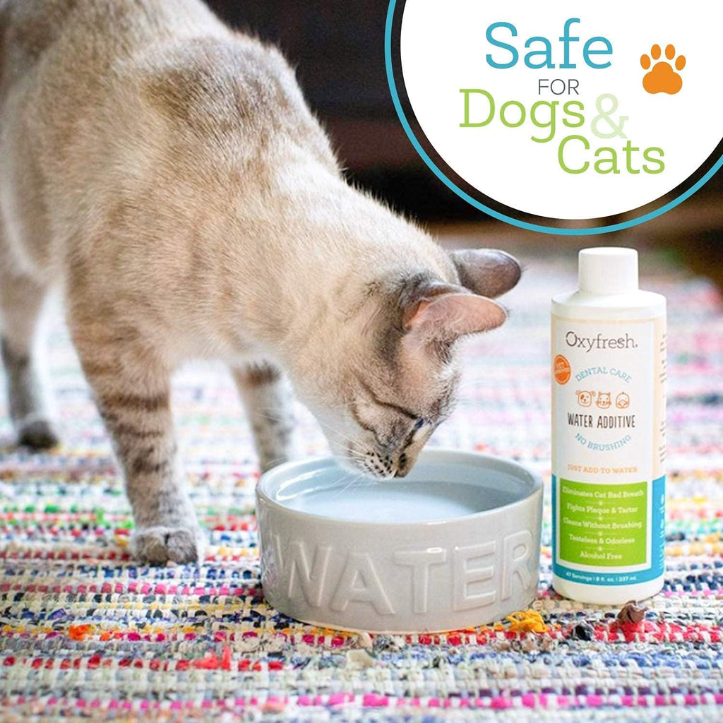 Premium Pet Dental Care Solution Pet Water Additive: Best Way to Eliminate Bad Dog Breath and Cat Bad Breath - Fights